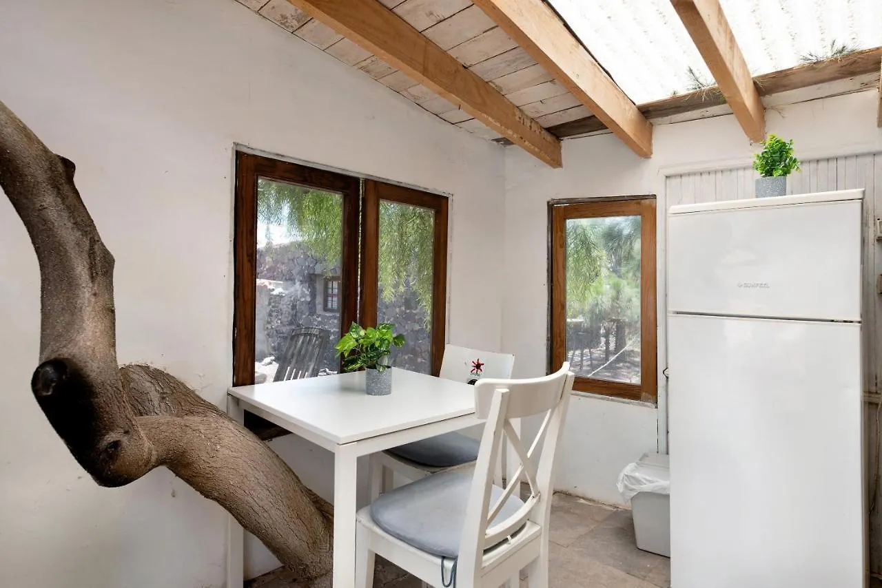 Aloe Art Villa Teguise  Teguise (Lanzarote)