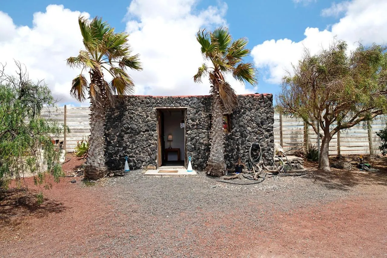 Aloe Art Villa Teguise  Holiday home