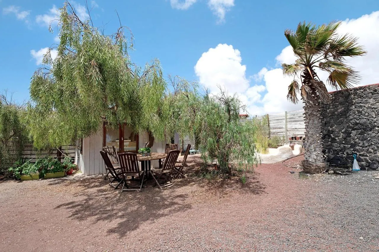 Aloe Art Villa Teguise  Holiday home Teguise (Lanzarote)